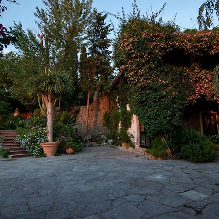 Villa Le Palme Forio di Ischia Exteriér fotografie