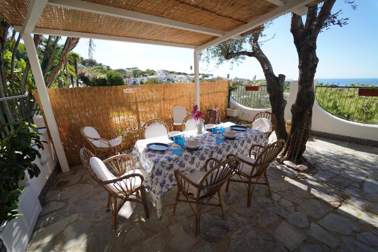 Villa Le Palme Forio di Ischia Exteriér fotografie