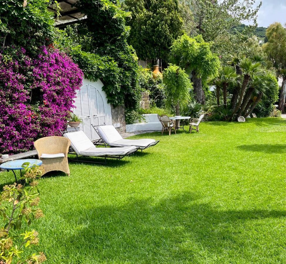 Villa Le Palme Forio di Ischia Exteriér fotografie