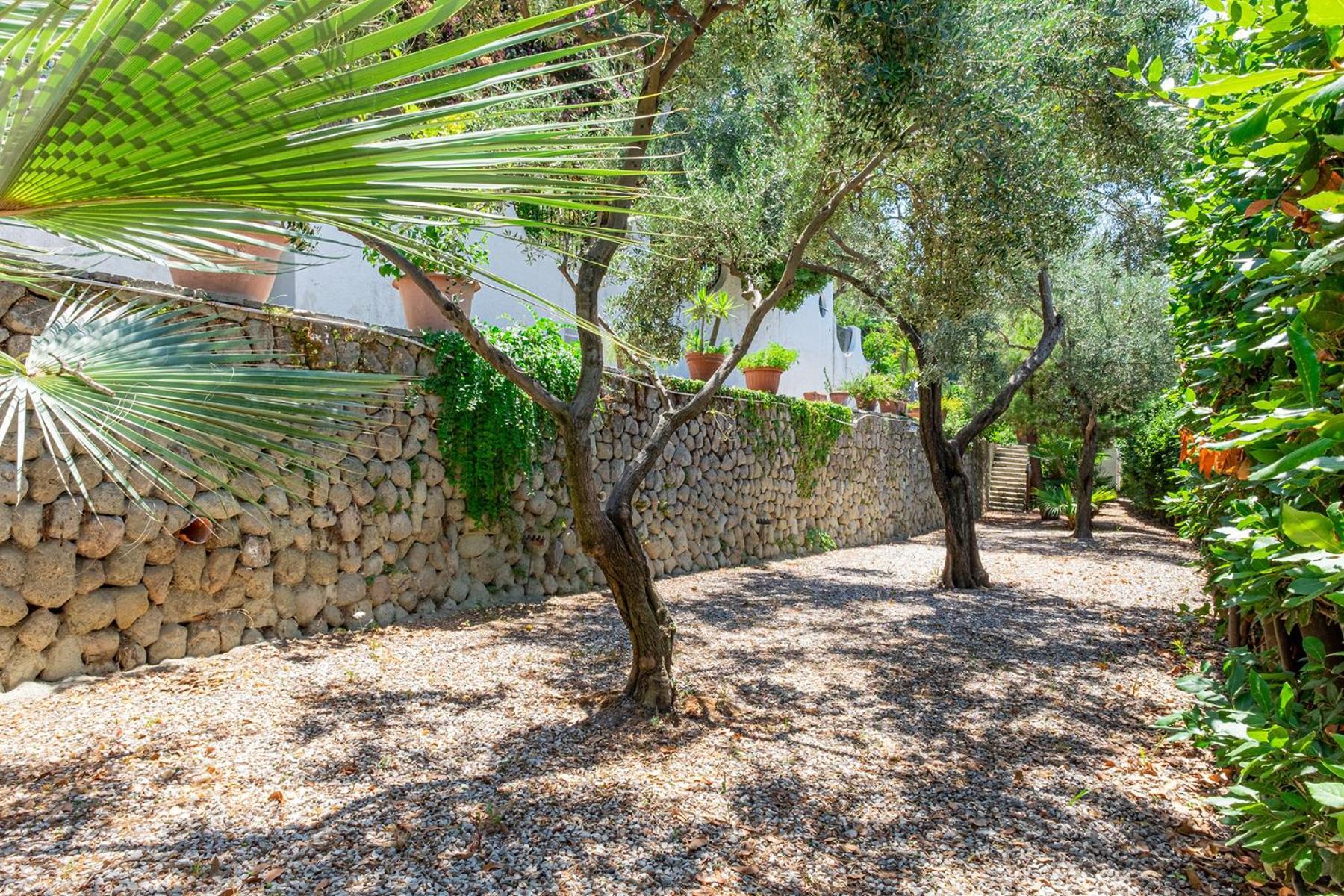 Villa Le Palme Forio di Ischia Exteriér fotografie